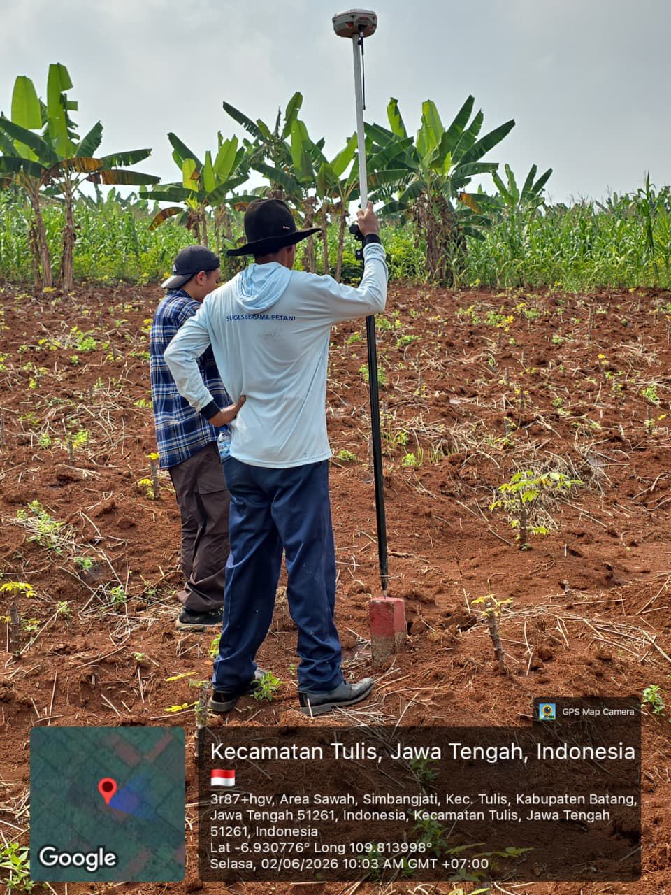 Petugas Ukur Kantah Batang Laksanakan Pengukuran Pemecahan Bidang Tanah PT. Simbangjati Bahagia Batang